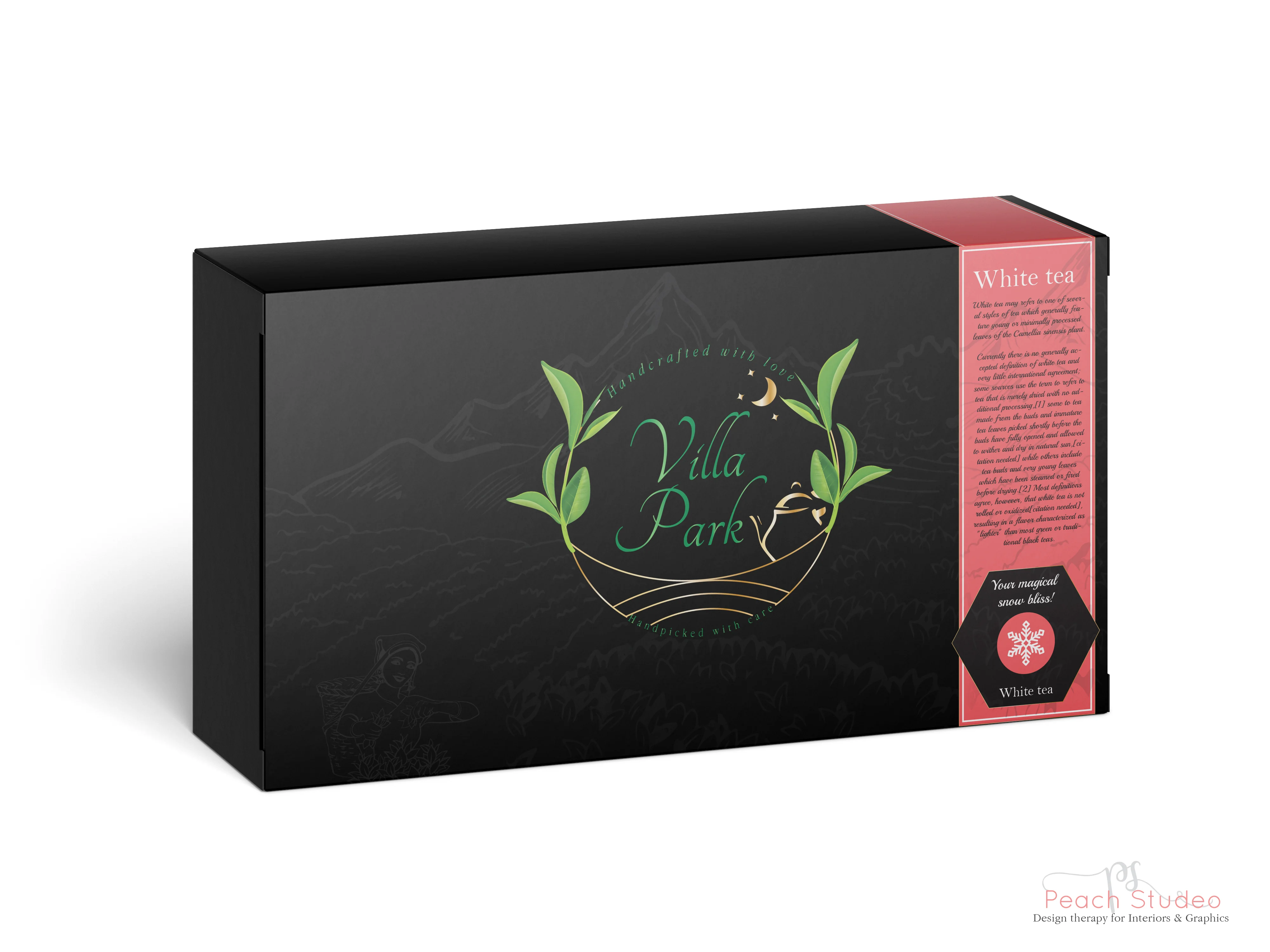 Studio Inizio Villa Park